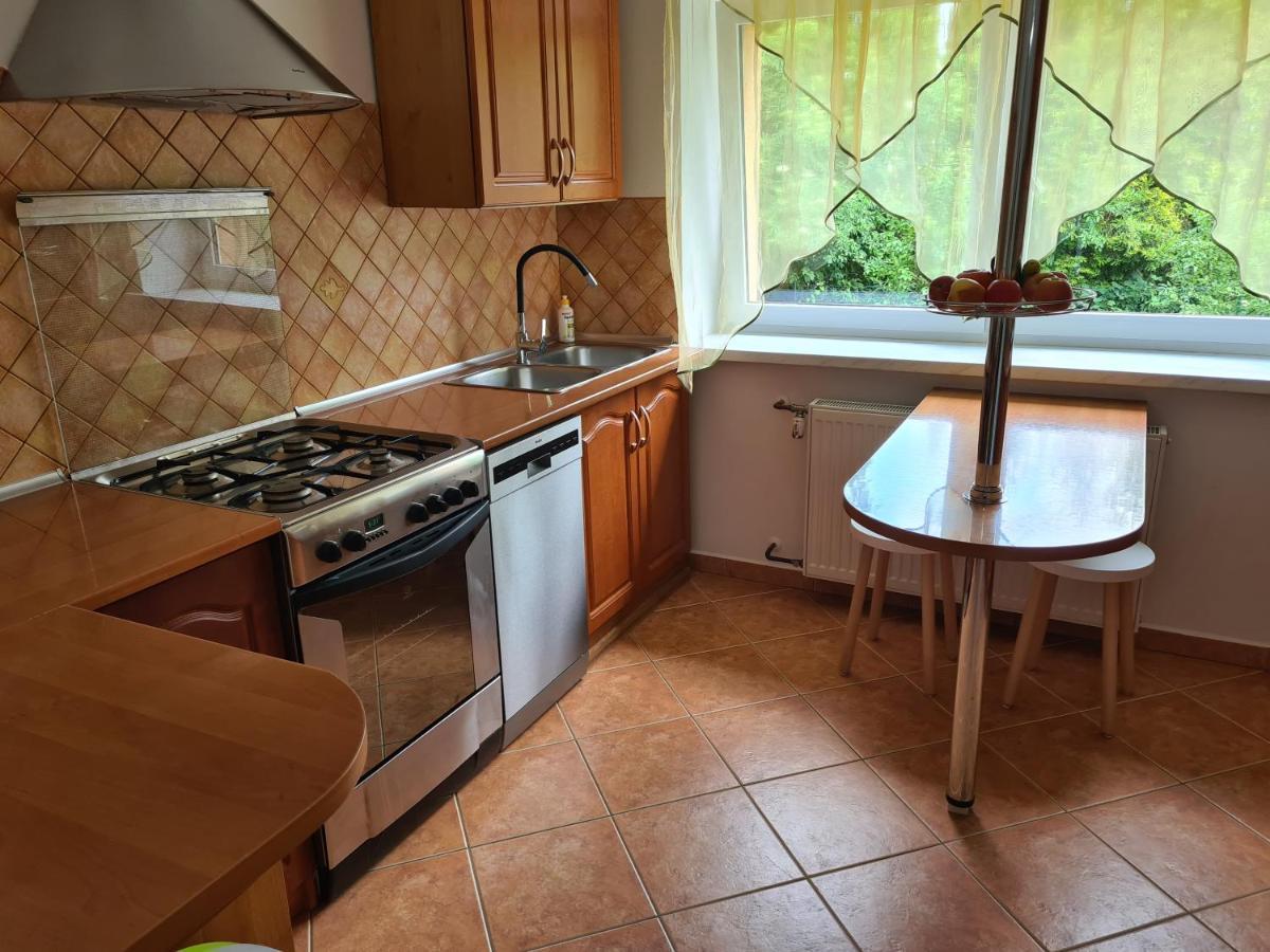 Apartament Pod Wieza Sky Walk Świeradów-Zdrój المظهر الخارجي الصورة